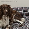 Ultimate Tartan Dog Bed (Grey Tartan)